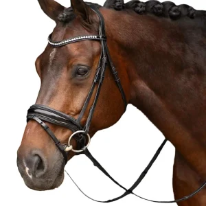 Bridle Athena, elegant träns med strass