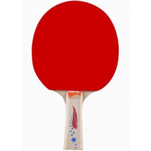 Bordtennisrack Basic med konkavt grepp ITTF***