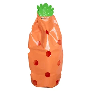 Hay Fun Carrot, hönät format som en morot